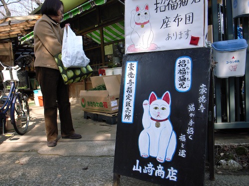 豪徳寺　招き猫1